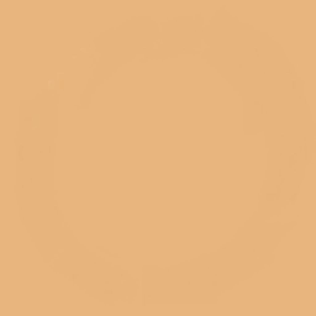 くずれにくい うるおい質感 メルティリキッドファンデーション ライトオークル