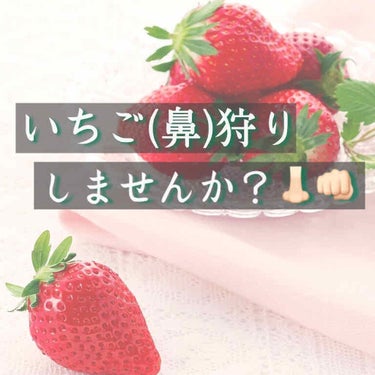 どうもおはこんばんにちは！せろりです！🌿


肌の悩みNo.1は鼻の毛穴！という方、結構
多いんじゃないでしょうか、、、？

かくいう私もその一人でして、これまでいちご鼻を
隠すメイクをたくさん勉強して