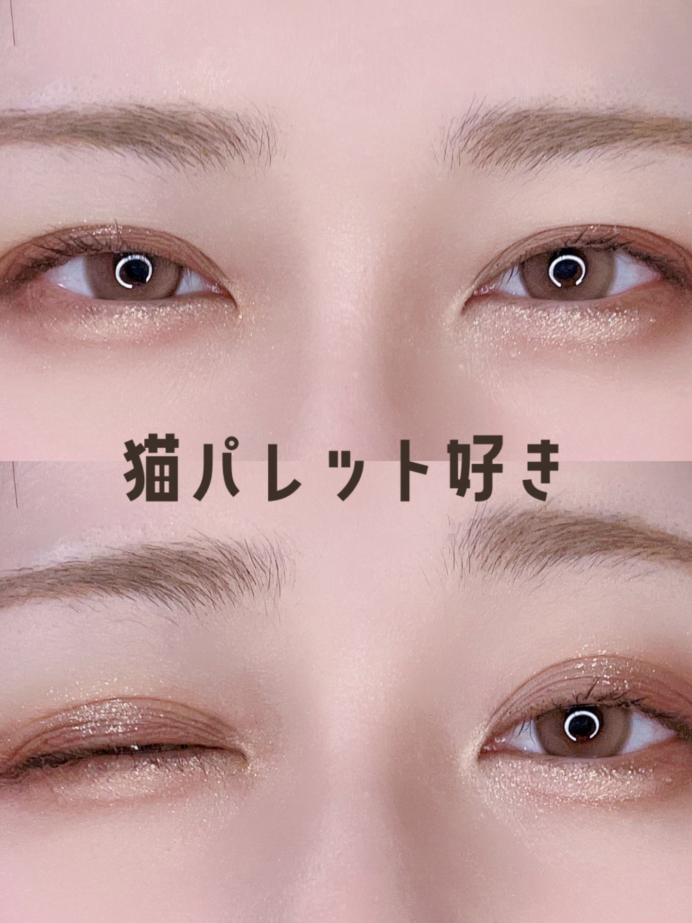 エクスプローラ12色 動物アイシャドウパレット/PERFECT DIARY/アイシャドウパレットを使ったクチコミ(1枚目)