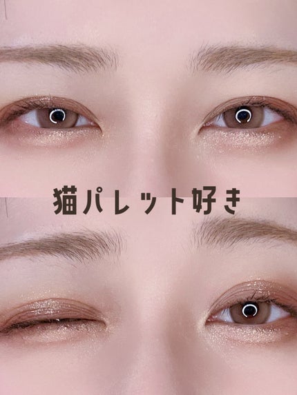 エクスプローラ12色 動物アイシャドウパレット/PERFECT DIARY/アイシャドウパレットを使ったクチコミ(1枚目)