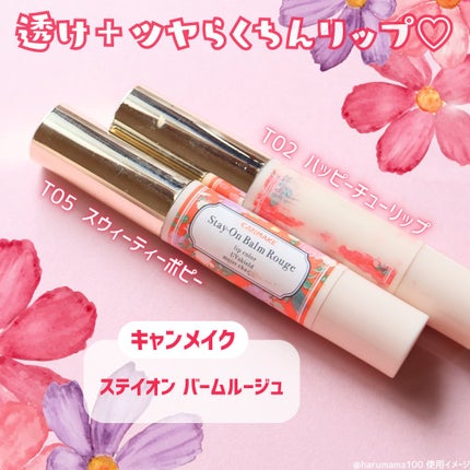 ステイオンバームルージュ(ティントタイプ)/キャンメイク/リップティントを使ったクチコミ(2枚目)
