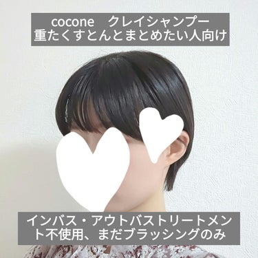 クレイクリームシャンプー（モイスト）/cocone/シャンプー・コンディショナーを使ったクチコミ（1枚目）