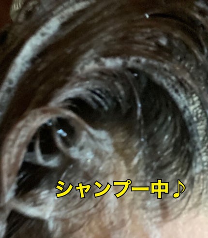 シルキー スムースモイスチャー シャンプー 1.0/ヘアトリートメント 2.0/&honey/市販シャンプーを使ったクチコミ(4枚目)