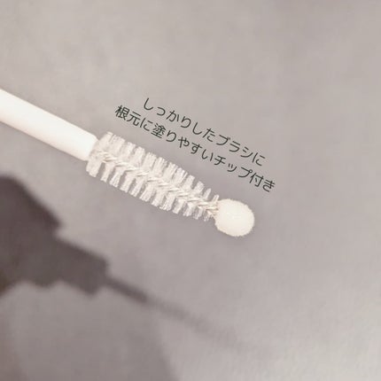フィービー ビューティーアップ アイラッシュセラムN2/PHOEBE BEAUTY UP/まつげ美容液を使ったクチコミ(3枚目)