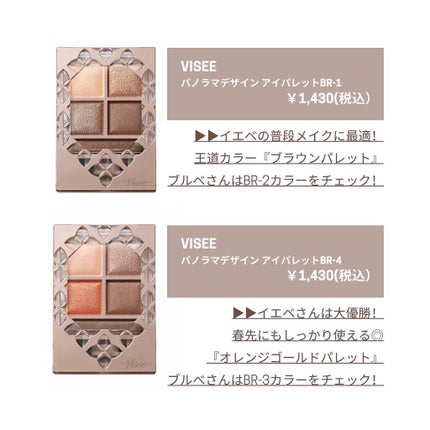 パノラマデザイン アイパレット/Visée/アイシャドウパレットを使ったクチコミ(4枚目)