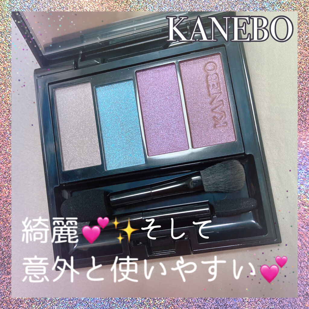 レイヤードカラーズアイシャドウ/KANEBO/アイシャドウパレットを使ったクチコミ（1枚目）