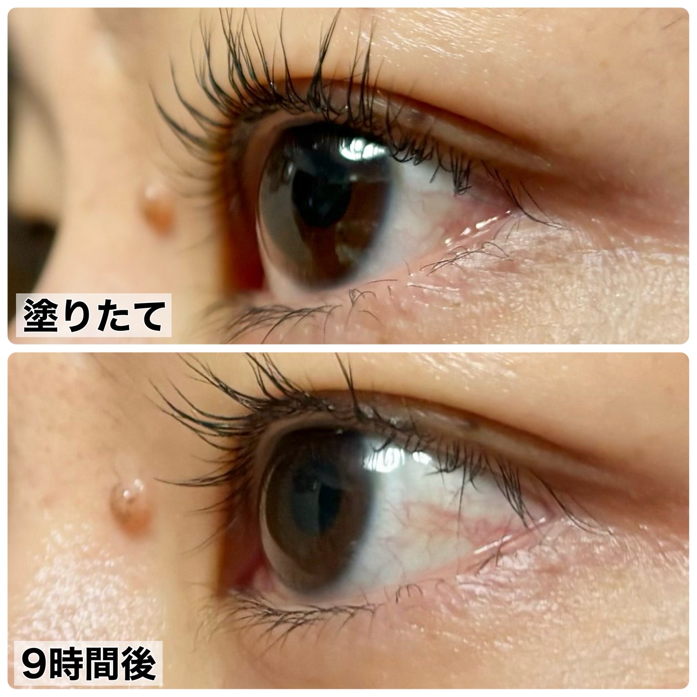 ピメル うそつき下地/pdc/マスカラ下地を使ったクチコミ(4枚目)