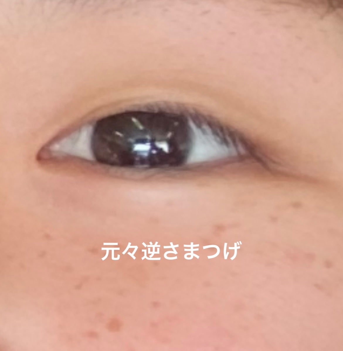 ラッシュジェリードロップ EX/MAJOLICA MAJORCA/まつげ美容液を使ったクチコミ(2枚目)