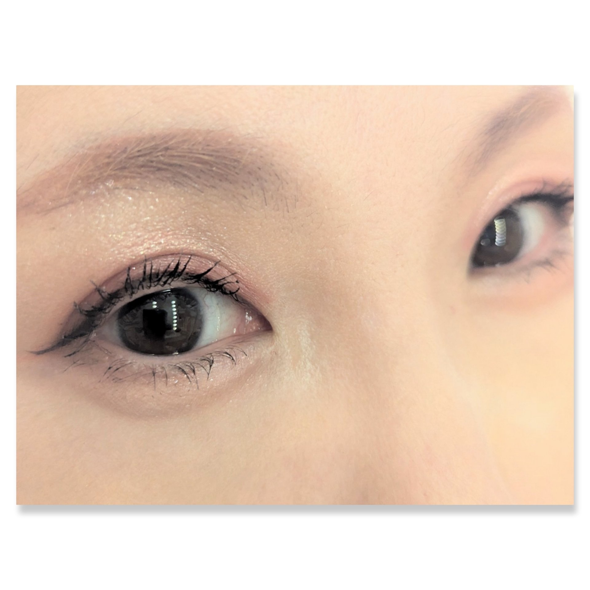 ショコラスウィート アイズ 027/リンメル ロンドン/アイシャドウパレットを使ったクチコミ（2枚目）