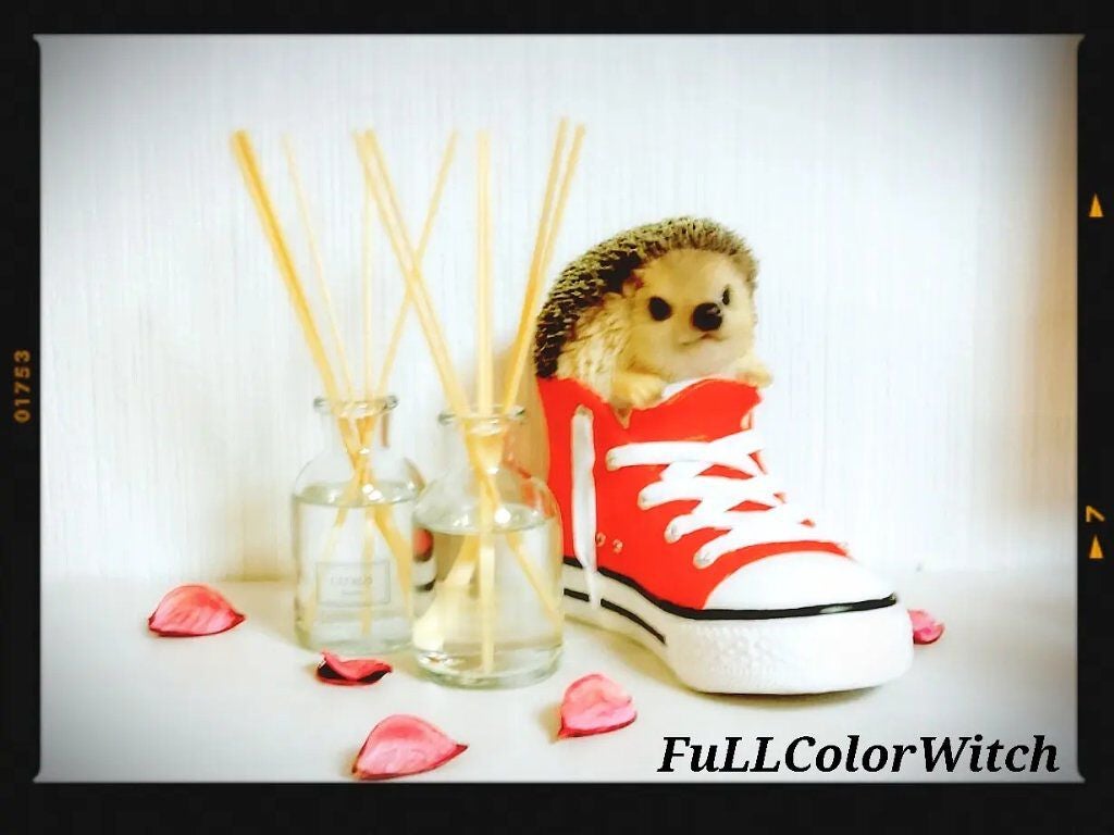 香るスティック シトラスオレンジ&ベルガモット/サワデー/ルームフレグランスを使ったクチコミ(3枚目)