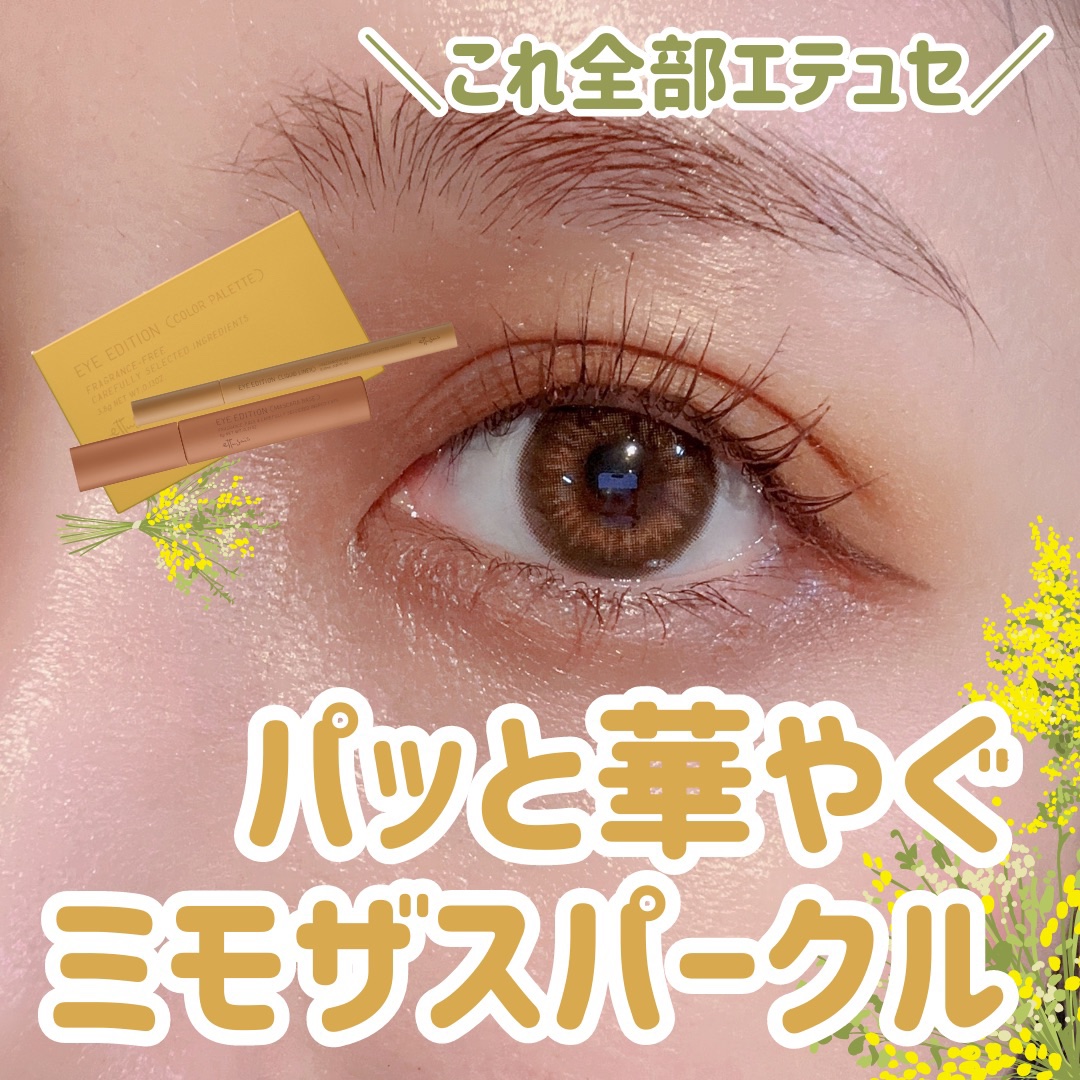 エテュセ アイエディション(カラーパレット)/ettusais/アイシャドウパレットを使ったクチコミ（1枚目）