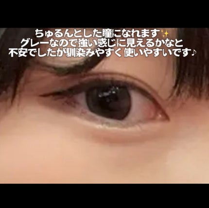 GRAY CONTOUR/malun malun/ワンデー(1DAY)カラコンを使ったクチコミ(3枚目)