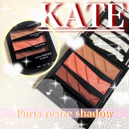 パーツリサイズシャドウ/KATE/アイシャドウパレットを使ったクチコミ(1枚目)