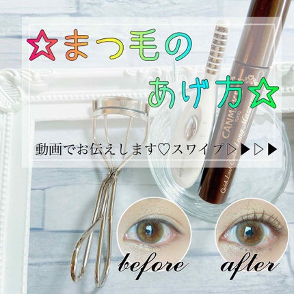 ミニホットアイラッシュカーラー/ニトリ/ホットビューラーを使ったクチコミ(1枚目)