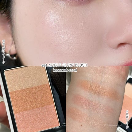 エスト ノーブル ブライト アイシャドウ/est/パウダーアイシャドウを使ったクチコミ(5枚目)