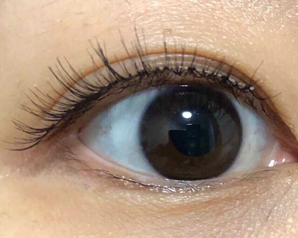 ディーアップアイラッシュ LASH Me　ラッシュミー/D-UP/つけまつげを使ったクチコミ（3枚目）