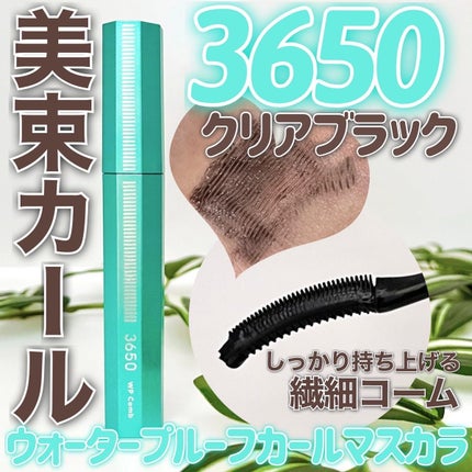 マスカラ WPコーム/3650/マスカラを使ったクチコミ(1枚目)