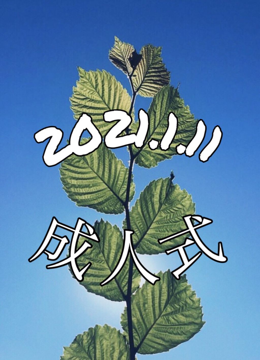 カラフルネイルズ/キャンメイク/マニキュアを使ったクチコミ（1枚目）