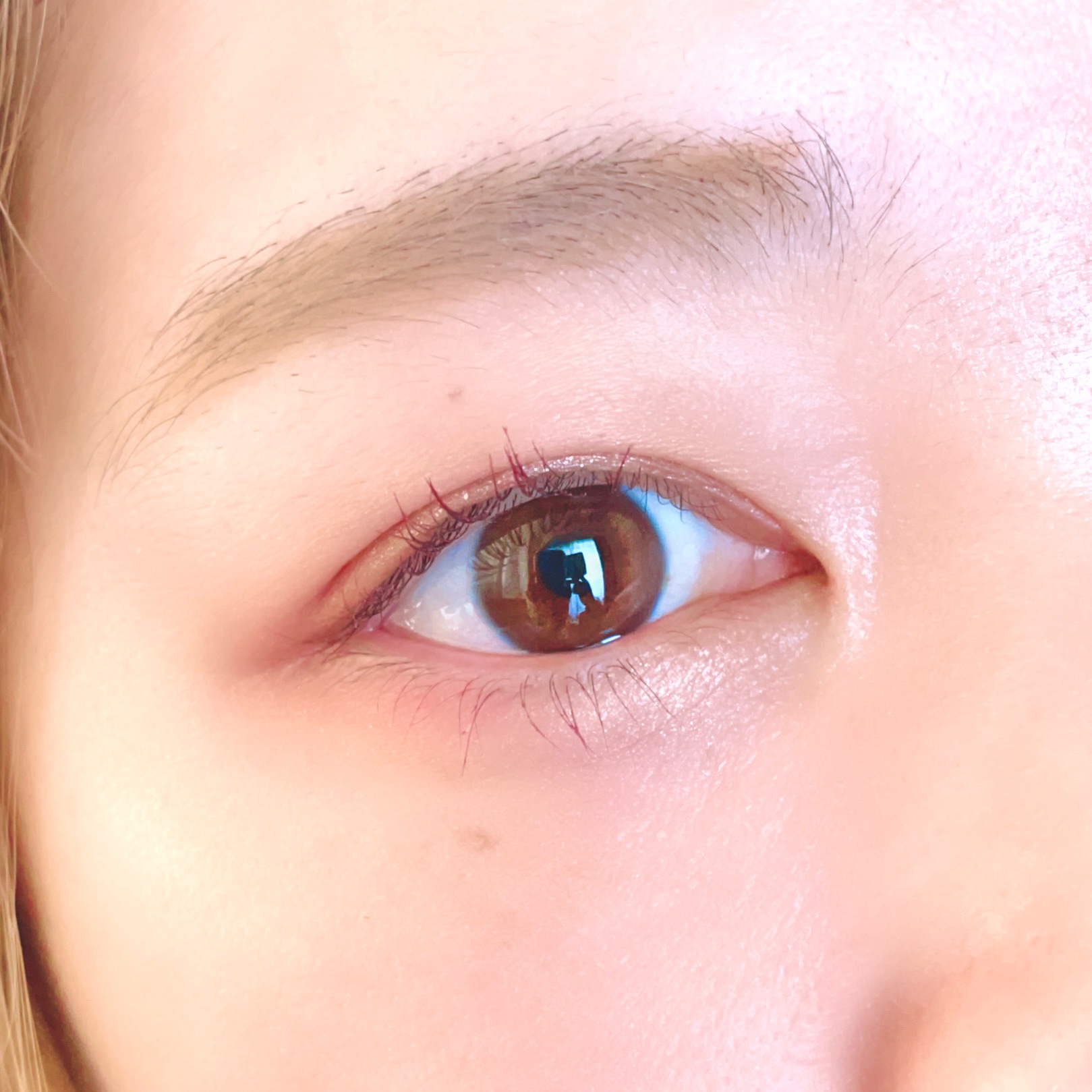 絵画アイシャドウパレット 08 星月夜/MilleFée/アイシャドウパレットを使ったクチコミ（3枚目）