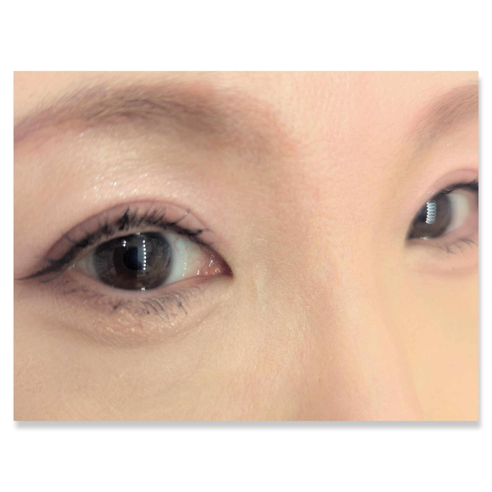 ミャオパウズアイシャドウパレット/MilleFée/アイシャドウパレットを使ったクチコミ（2枚目）