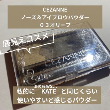 ノーズ＆アイブロウパウダー/CEZANNE/パウダーアイブロウを使ったクチコミ（1枚目）