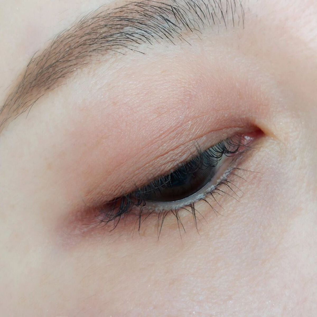 ブラーフィニシュシャドウパレット/Dinto/アイシャドウパレットを使ったクチコミ(6枚目)