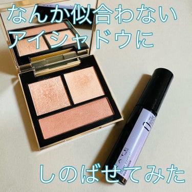 テイラード カラー アイズ/SNIDEL BEAUTY/アイシャドウパレットを使ったクチコミ（1枚目）