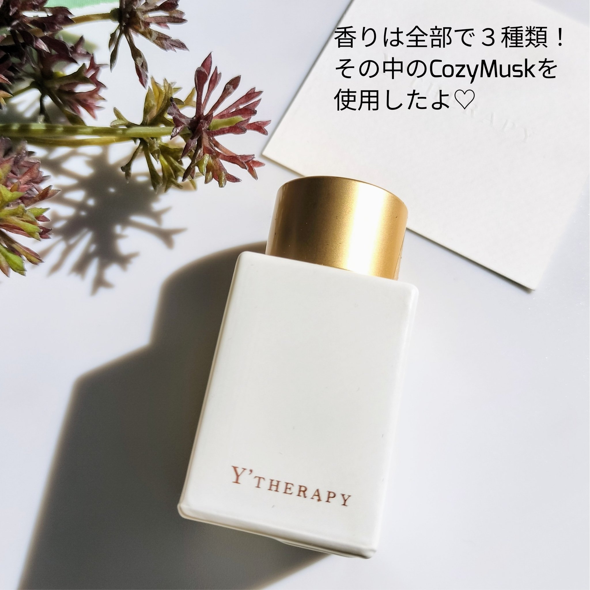 INNER CARE  コージームスク/Y'THERAPY/香水(その他)を使ったクチコミ（3枚目）