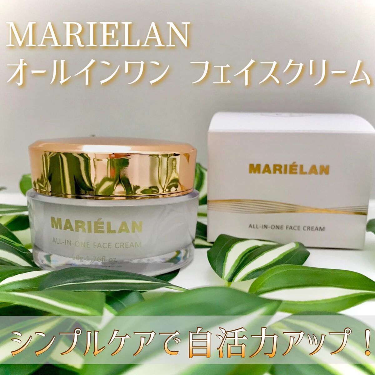 オールインワン フェイスクリーム /MARIÉLAN/オールインワン化粧品を使ったクチコミ（1枚目）
