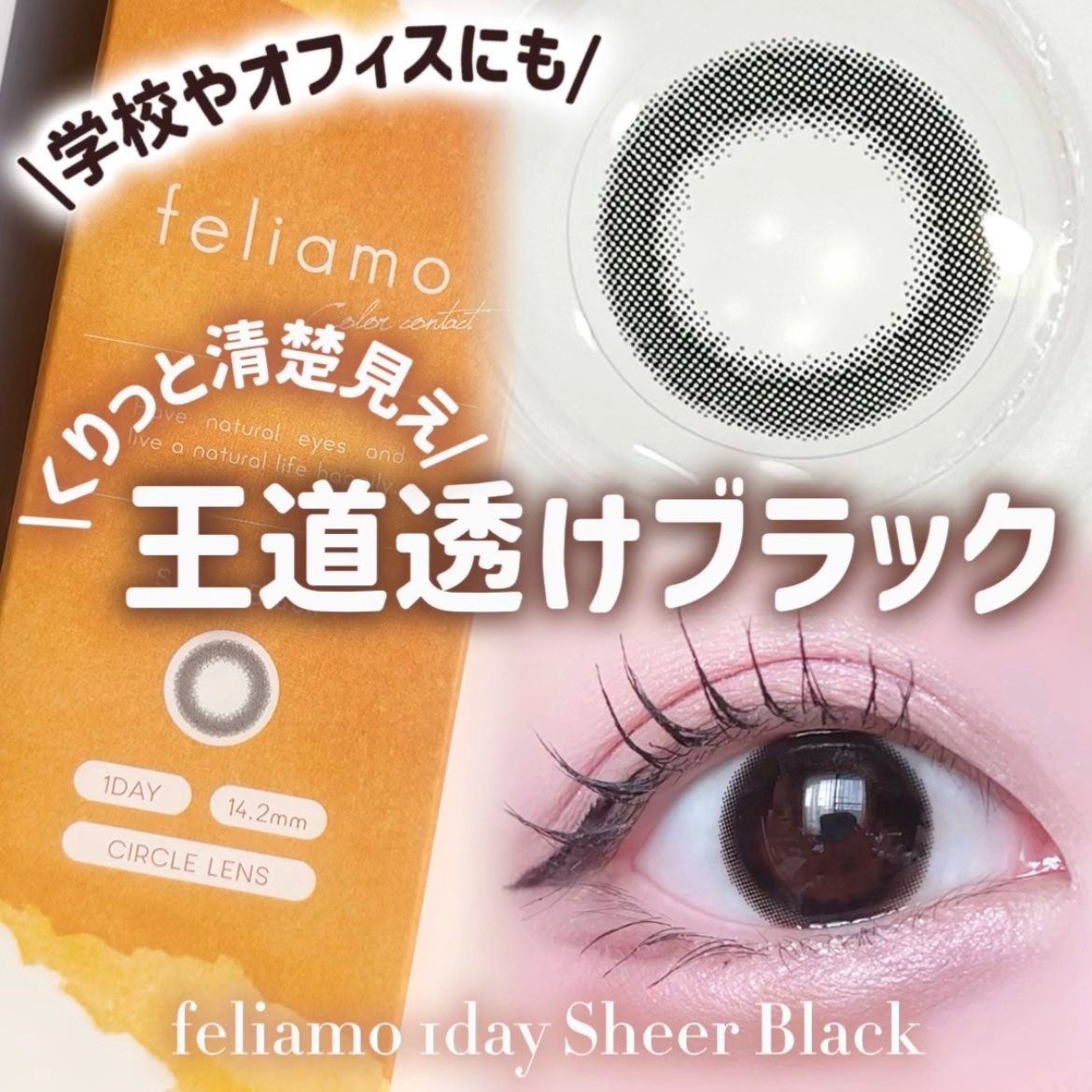 feliamo 1day シアーブラック/feliamo/ワンデー（１DAY）カラコンを使ったクチコミ（1枚目）