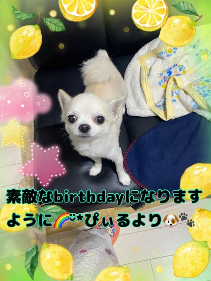 ディオール ヴェルニ/Dior/マニキュアを使ったクチコミ(7枚目)