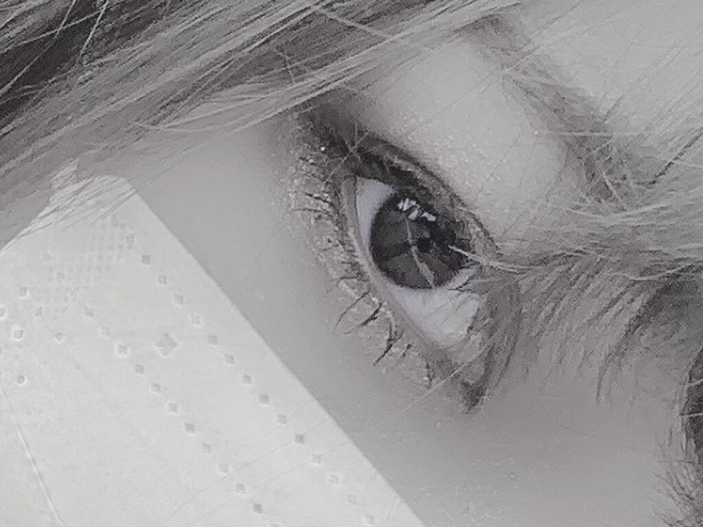 プロ アイ パレット/CLIO/アイシャドウパレットを使ったクチコミ（2枚目）