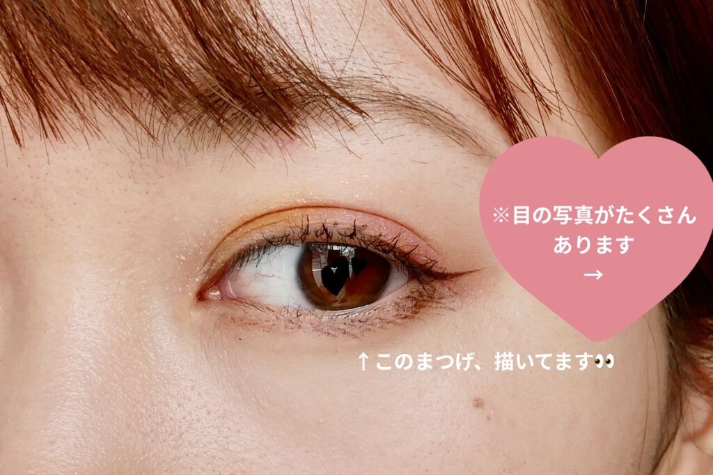 アリスドリームランドシリーズ 12色アイシャドウパレット（ZEESEA×大英博物館）/ZEESEA/アイシャドウパレットを使ったクチコミ（1枚目）