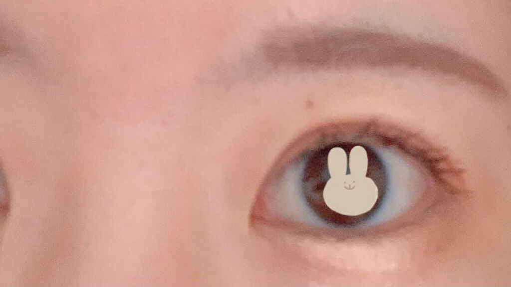 シャドウパレット/dasique/アイシャドウパレットを使ったクチコミ（2枚目）