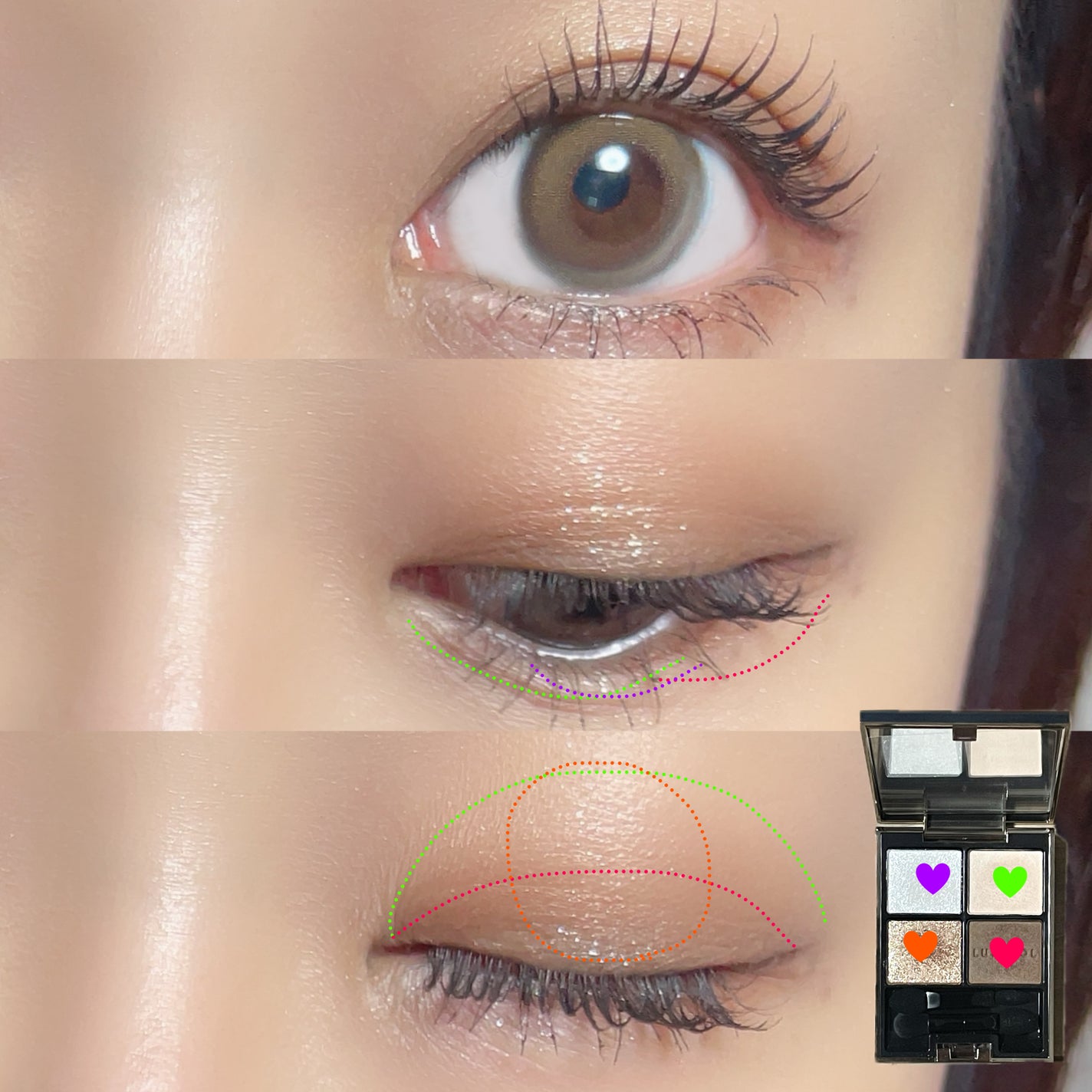 アイカラーレーション/LUNASOL/アイシャドウパレットを使ったクチコミ(2枚目)