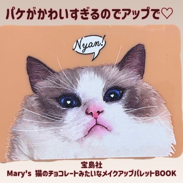 Mary’s 猫のチョコレートみたいなメイクアップパレットBOOK/宝島社/パウダーアイシャドウを使ったクチコミ（2枚目）