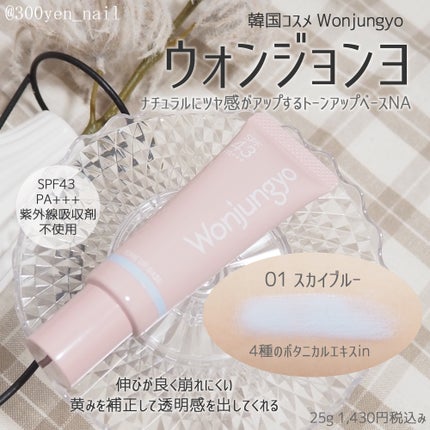 ウォンジョンヨ トーンアップベース NA/Wonjungyo/化粧下地を使ったクチコミ(1枚目)