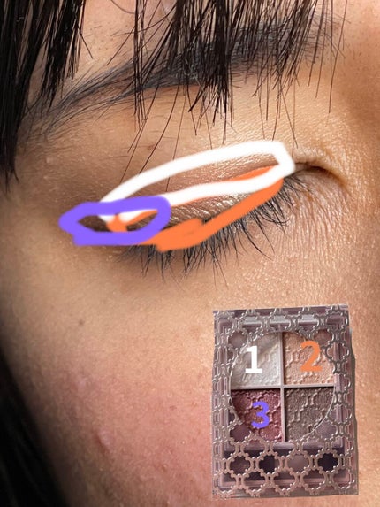 グロッシーリッチ アイズ N/Visée/アイシャドウパレットを使ったクチコミ(3枚目)