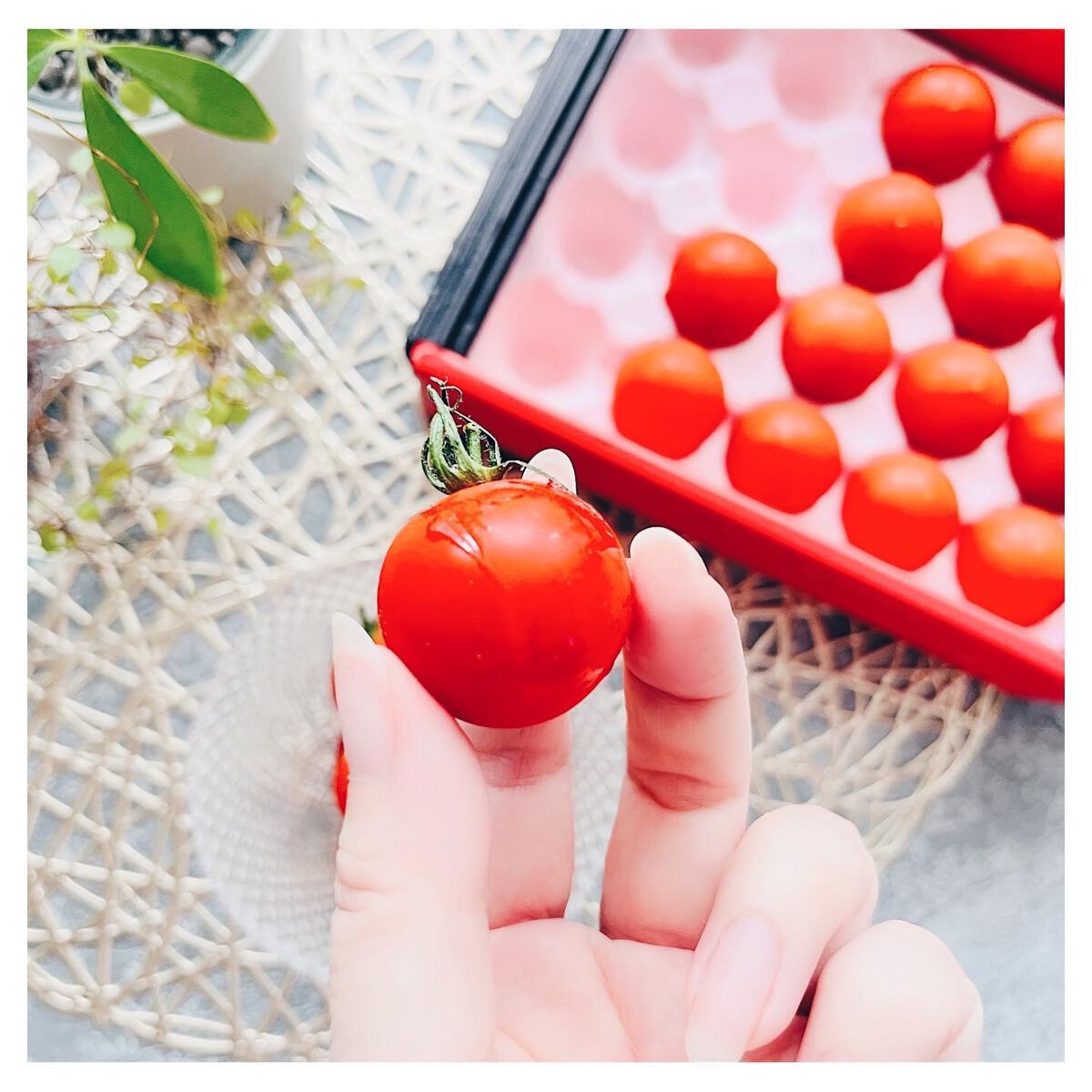 BH Tomato/リコピュア/食品を使ったクチコミ（3枚目）