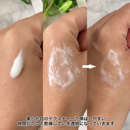 塗るマスクパック低分子コラーゲンマスク /Veganifect/洗い流すパック・マスクを使ったクチコミ(3枚目)