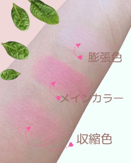 TIMAGE 3色チークパレット/TIMAGE/パウダーチークを使ったクチコミ(5枚目)