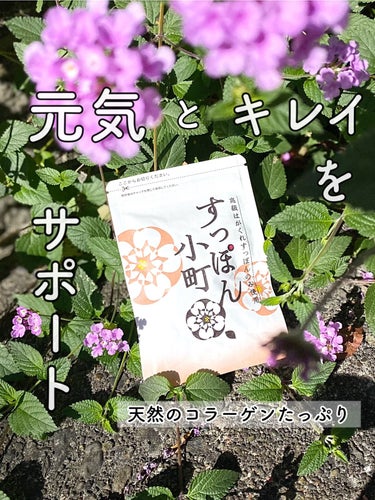 ていねい通販 すっぽん小町のクチコミ「・
・
すっぽん小町
 
最近なんとなく元気がない、やる気が出ない・・
そんな日々を過ごしてい.....」（1枚目）