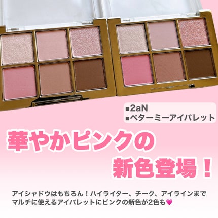 ベターミーアイパレット/2aN/マルチパレットを使ったクチコミ(2枚目)