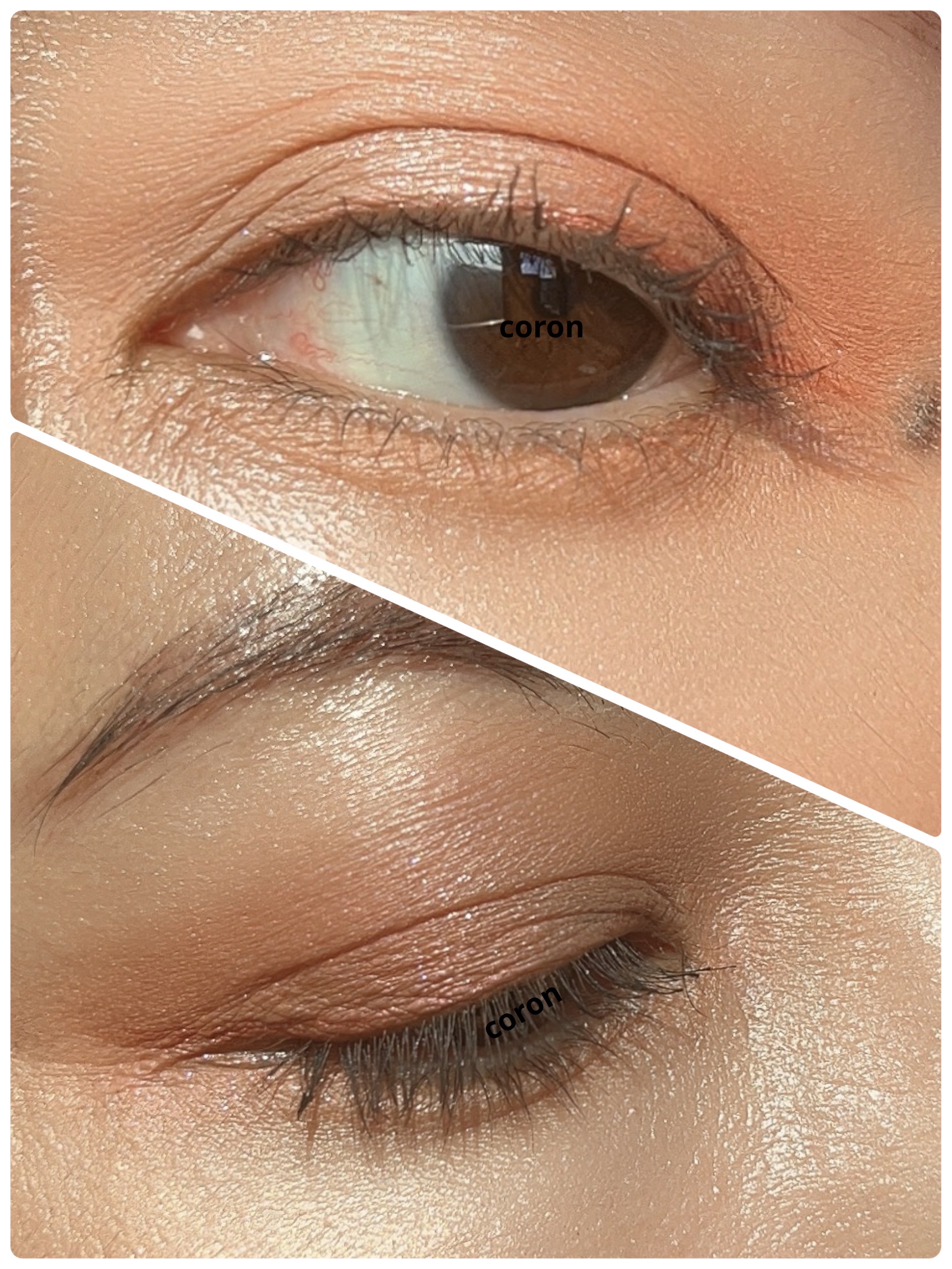 ユーフォリア フェースパレット/NARS/マルチパレットを使ったクチコミ（2枚目）