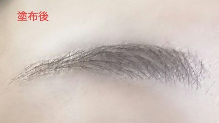 アイブロウフィルター/ドーリーウインク/眉マスカラを使ったクチコミ(5枚目)