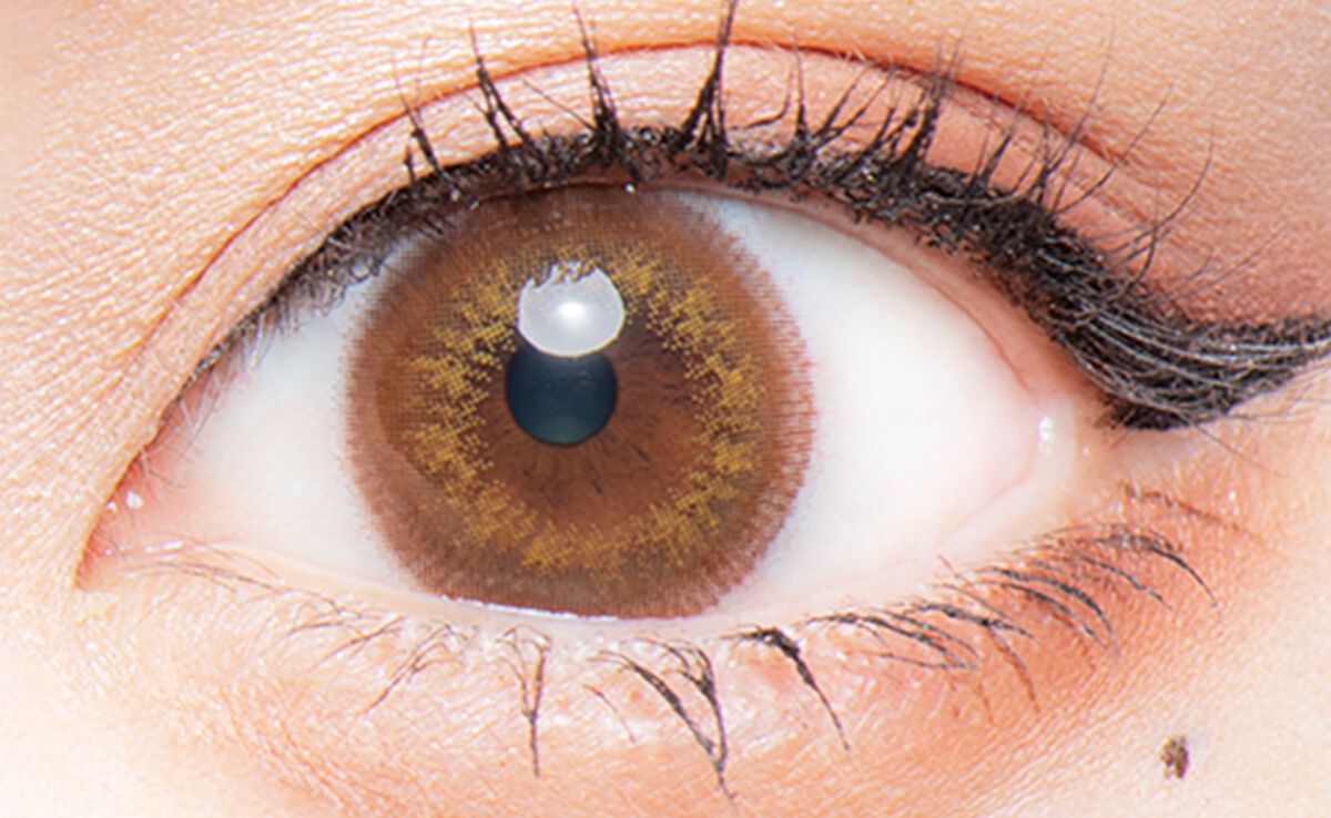 Flurry by colors 1day くりくりプードル