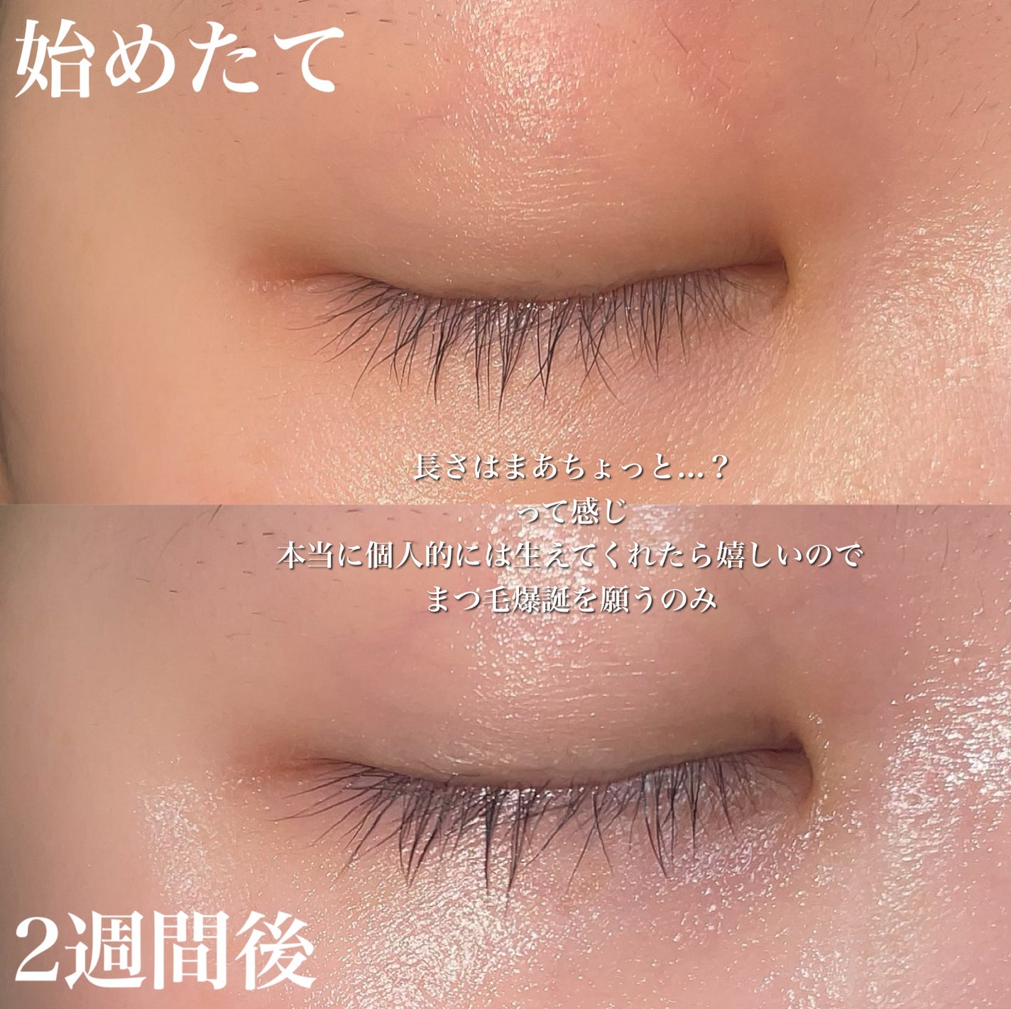 FEG  Eyelash  Enhancer/FEG/まつげ美容液を使ったクチコミ(4枚目)
