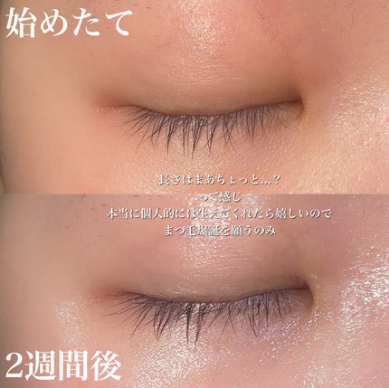 FEG  Eyelash  Enhancer/FEG/まつげ美容液を使ったクチコミ(4枚目)