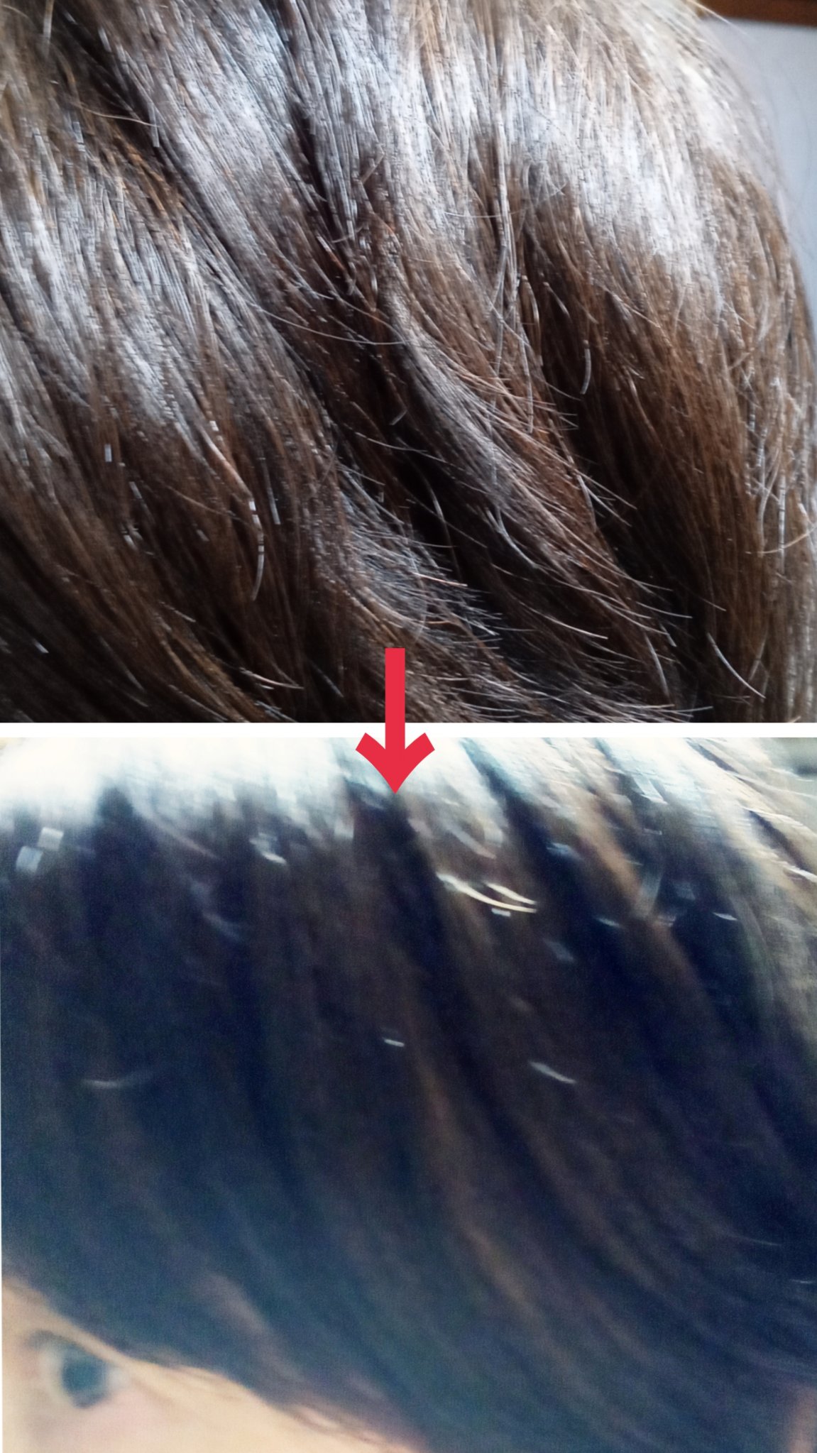 🌸sakura🌸のクチコミ「送料対策を兼ねてトライアルサシェを購入してみました。

髪のうねりがやわらぎます。

手触りも.....」（2枚目）