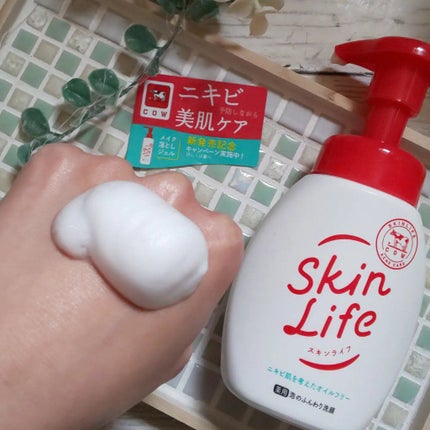 薬用泡のふんわり洗顔/スキンライフ/泡洗顔を使ったクチコミ(1枚目)